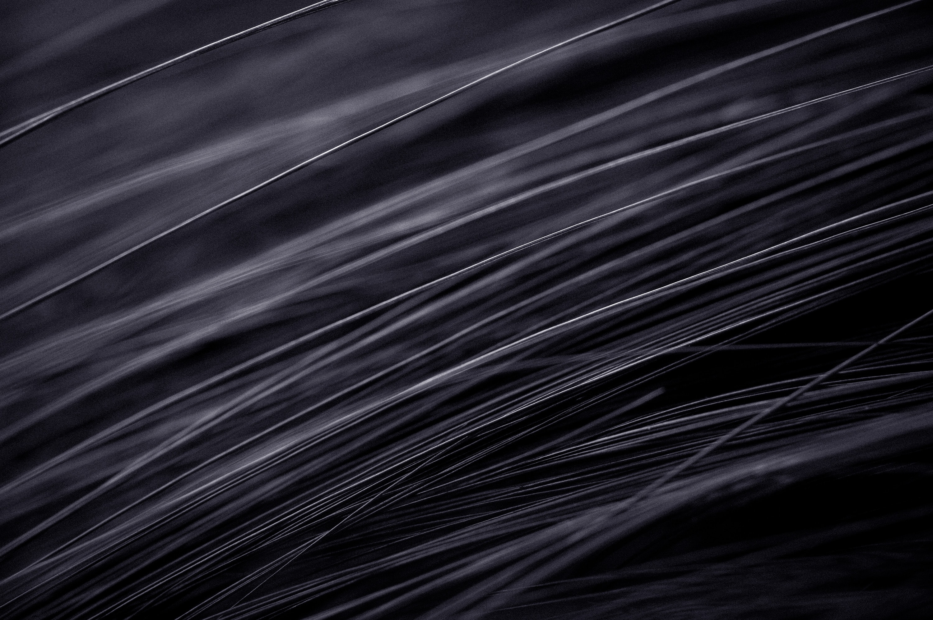 tao-yuan-DvMRYghfArY-unsplash