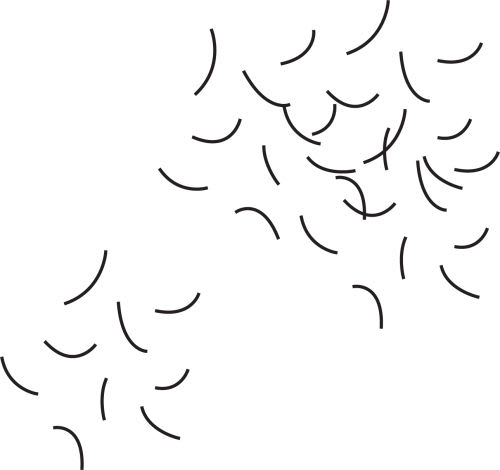 losing hair every day