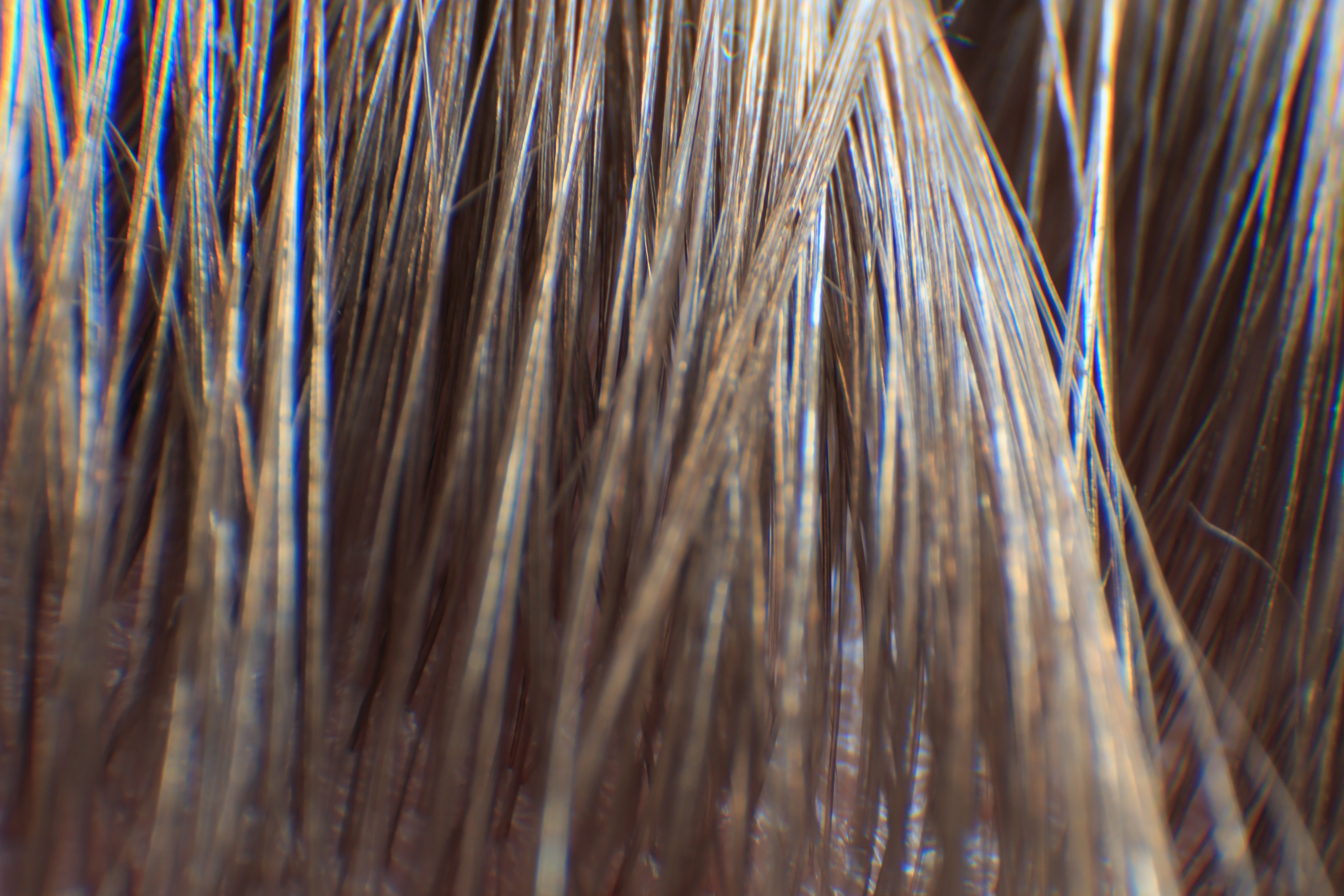 AdobeStock 285536416